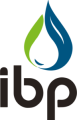 IBP