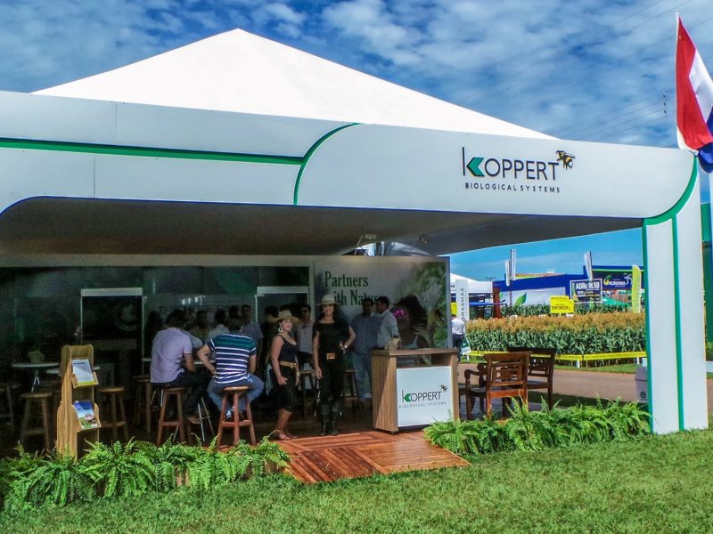 KOPPERT — foto 1