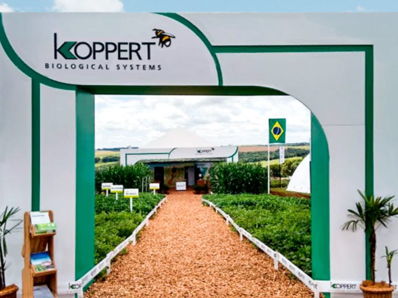 KOPPERT — foto 3